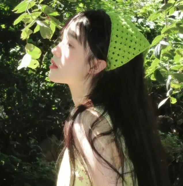 红墙盗影